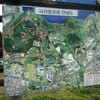 韓国でよく見かける光景