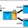 Na利尿と水利尿の違い