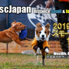 VLOG ディスクドッグ大会 K9DJ Day2 テラ、ついに年間ランキング１位に！ ＠宇陀 Mar29.2020 Life with Dogs