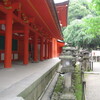 奈良と京都とティーバック