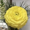 お気に入りの花