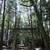 鹿嶋神社古墳群　茨城県桜川市真壁町上谷貝