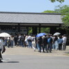名古屋城の古武道とお花の紹介