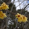 福音を宣べ伝える教会（3）信条の役割