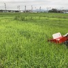 夕方の2時間は貴重な時間