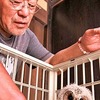 フクロウのヒナ保護　今年も１羽やって来る　篠山市県守の細見さん