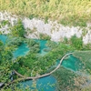 プリトヴィツェ湖群国立公園トレッキング　現地情報編　～クロアチアの美しい自然～