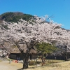 心紡ぐカノン