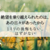 『1ミリの後悔もない、はずがない』私にとって間違いなく心に残る1冊