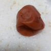 【第12回】梅干しはお弁当の食中毒を防ぐ？
