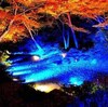 【六義園 紅葉 2019】見頃の時期や見どころ、ライトアップ情報は？！