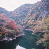 いつかの風景　Forest　　Nikon FM2