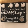 wild stomp 機材レポート