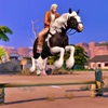 Horse Ranch（10）