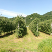 日本縦断歩き旅５８日目（青森県平川市～浪岡町）