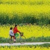 菜の花見　西安から漢中に三国南鄭1日日帰り撮影旅行