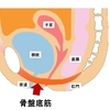 尿漏れ悩み解決〜切迫性尿失禁の対処法part 2〜 