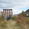 見学→社会福祉法人あらくさ　餅まき