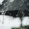 息を飲むほどの静寂～最後の雨