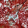 🍁紅葉の大内宿～会津若松～白河小峰城🍂その３