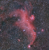 かもめ星雲　IC2177