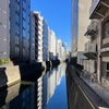 神田川を散歩してみました⑧
