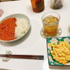 バターチキンカレーとスパイス沼とポケモン