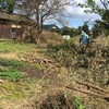 今日は枝葉の搬出なのに道路は大混乱