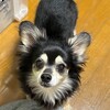 まろにー3604日目