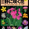 山渓ハンディ図鑑、野に咲く花のレビュー。植物をこれから知りたい人に最もおすすめできる図鑑。
