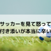 子どものサッカーを見て怒ってしまう…付き添いが本当に辛い