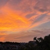 夕暮れにひぐらし聴こえ深呼吸