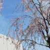 「教職が子ども相手の楽な仕事で、高収入だと思われていた時代の話」～少子高齢化が教員の働き方改革を阻害する①