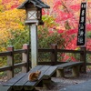 ベンチと猫　【 秋の唐沢山神社 ④ 】 