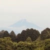 今朝の景色