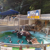 高知旅行⑱桂浜水族館