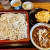 そば政【蕎麦政】（足立区南花畑 六町駅）冷肉そば＋かき揚げ＋卵