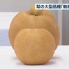 荒尾市 梨の大型品種「新高」の品評