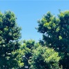 見知らぬ街のUR賃貸見学へ