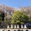 アクアノート「春のFREE LIVE」@飛鳥山公園