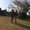 名もなき公園でも