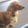 ルナのからだに・・・・