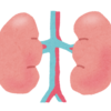 腎機能の血液検査を見てみよう