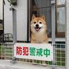 一体どこに援軍を送るのが正解なのか？