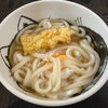 イカ天うどん