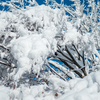 何故？１２月なのにびっくりのドカ雪