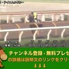 競馬無双で競馬予想！スワンステークス（GII） 【競馬調教】 テイエムタイホー調教動画　「競馬レース結果ハイライト」2016年≪競馬場の達人,競馬予想≫JRA-VAN対応競馬ソフト