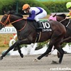 12月10日（日）中山🐎阪神🐎中京