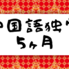 【中国語のすゝめ】今日で中国語の勉強を始めてから５ヶ月が経ちました！（現在のレベルなどの報告）