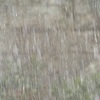 大型運転時、雨天で気をつける事… 